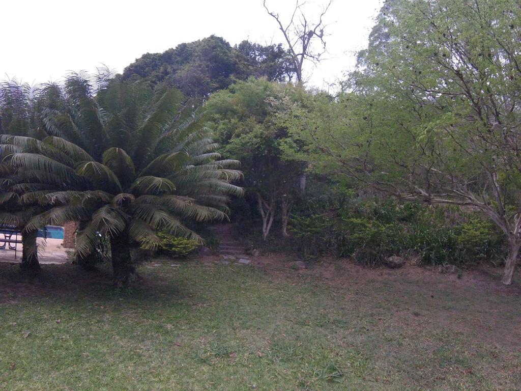 Inn Amoedo