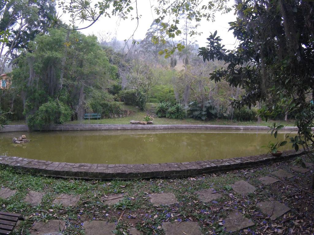 Amoedo