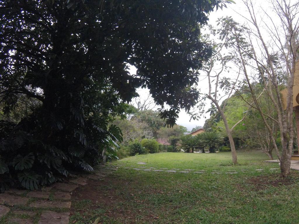 Amoedo