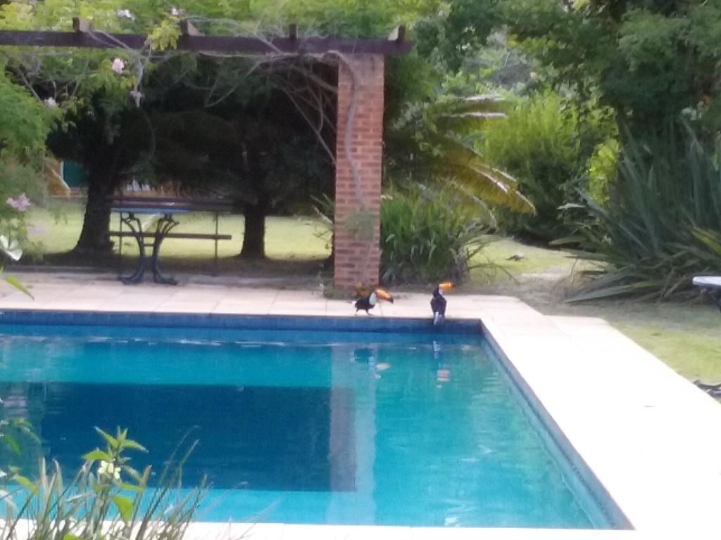 Amoedo Inn 5*